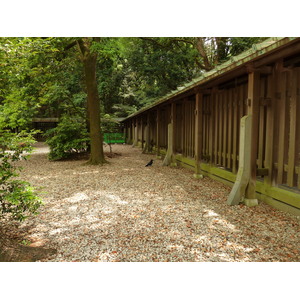 รูปถ่าย ญี่ปุ่น(Japan) โตเกียว(Tokyo) สวนโยโยงิ(Yoyogi Park) 2010-06 40