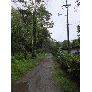 รูปถ่าย คอสตาริกา(Costa Rica) ปวยร์โตเบียโฆเดตาลามังกา(Puerto Viejo de Talamanca) 2015-03 20