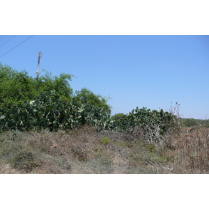 รูปถ่าย อิสราเอล(Israel) นิทซาน(Nitzan) 2007-06 48