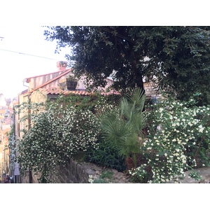 รูปถ่าย โครเอเชีย(Croatia) ดูบรอฟนิก(Dubrovnik) 2016-04 176