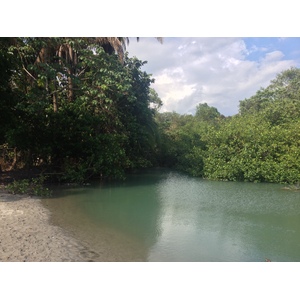 รูปถ่าย คอสตาริกา(Costa Rica) มานวยล์อันโตนีโอ(Manuel Antonio) 2015-03 394
