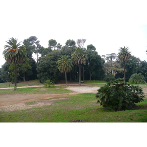 รูปถ่าย อิตาลี(Italy) โรม(Rome) วิลลาโดเรียปัมฟีลี(Villa Doria Pamphili) 2007-11 8