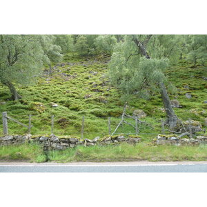 รูปถ่าย อังกฤษ(United Kingdom) อุทยานแห่งชาติแคร์นกอร์มส์(Cairngorms National Park) 2011-07 6