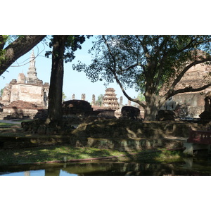 รูปถ่าย ไทย(Thailand) สุโขทัย(Sukhothai) 2010-12 66