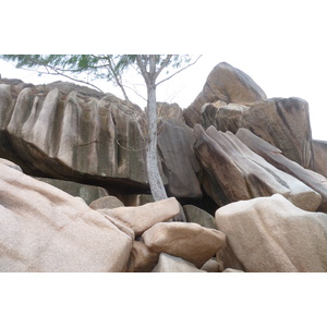รูปถ่าย เซเชลส์(Seychelles) เกาะลาดีก(La Digue) 2011-10 105