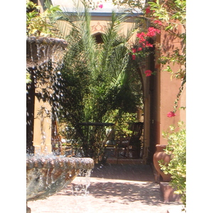 รูปถ่าย อียิปต์(Egypt) ลูซอร์(Luxor) โรงแรมอัลมูดีรา(Al Moudira Hotel) 2007-04 14