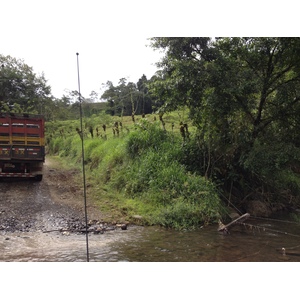 รูปถ่าย คอสตาริกา(Costa Rica) แม่น้ำปากัวเร(Pacuare River) 2015-03 126