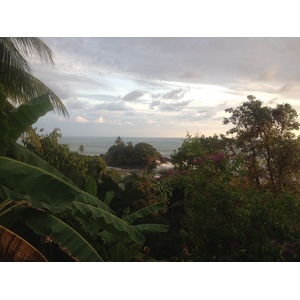 รูปถ่าย คอสตาริกา(Costa Rica) โดมินิกัล(Dominical) 2015-03 18