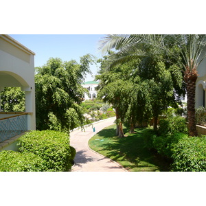 รูปถ่าย อียิปต์(Egypt) ชาร์มเอลชีค(Sharm el Sheikh) โรงแรมไฮแอต(Hyatt Hotel) 2008-06 162