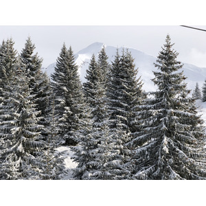 รูปถ่าย ฝรั่งเศส(France) ลากลูซา(La Clusaz) 2017-12 340