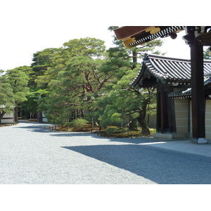 รูปถ่าย ญี่ปุ่น(Japan) เกียวโต(Kyoto) พระราชวังหลวงเกียวโต(Kyoto Imperial Palace) 2010-06 138
