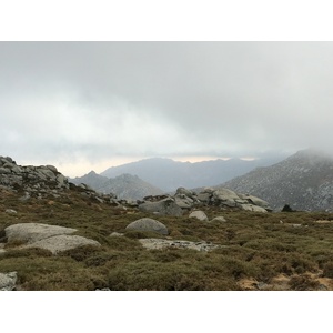 รูปถ่าย ฝรั่งเศส(France) คอร์สิคา(Corsica) อัลตาร็อกกา(Alta Rocca) 2017-09 22