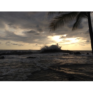 รูปถ่าย คอสตาริกา(Costa Rica) โดมินิกัล(Dominical) 2015-03 7