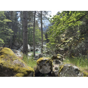 รูปถ่าย ฝรั่งเศส(France) คอร์สิคา(Corsica) หุบเขาลาเรสโตนีกา(La Restonica) 2025-06 23
