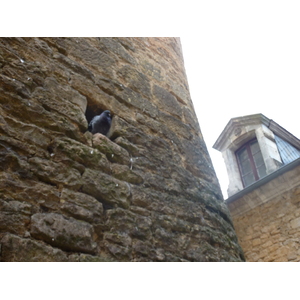 รูปถ่าย ฝรั่งเศส(France) ซาร์ลา-ลา-กาเนดา(Sarlat la Caneda) 2009-07 75