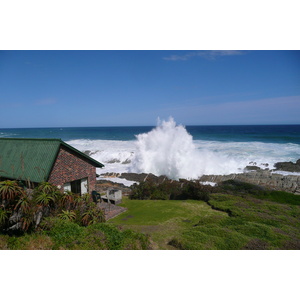 รูปถ่าย แอฟริกาใต้(South Africa) อุทยานแห่งชาติซิตซิคัมมา(Tsitsikamma National Park) 2008-09 386