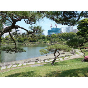 รูปถ่าย ญี่ปุ่น(Japan) โตเกียว(Tokyo) สวนคิวชิบะริคิว(Kyu Shiba rikyu Gardens) 2010-06 49