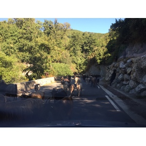 รูปถ่าย ฝรั่งเศส(France) คอร์สิคา(Corsica) เฟลเช(Felce) 2017-09 9