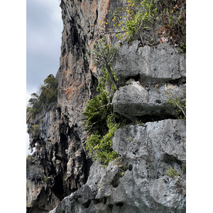 รูปถ่าย ไทย(Thailand) กระบี่(Krabi) 2023-01 211