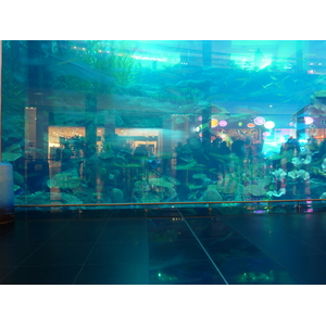 รูปถ่าย สหรัฐอาหรับเอมิเรตส์(United Arab Emirates) ดูไบ(Dubai) ดูไบมอลล์(The Dubai Mall) 2009-12 68