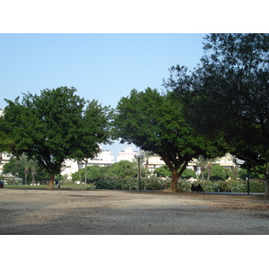 รูปถ่าย อิสราเอล(Israel) เทลอาวีฟ(Tel Aviv) 2006-12 20