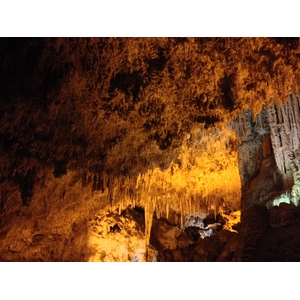 รูปถ่าย อิตาลี(Italy) ซาร์ดิเนีย(Sardinia) แหลมกาโปกัชชา(Capo Caccia) 2015-06 66