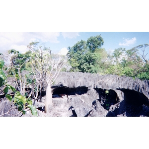 รูปถ่าย มาดากัสการ์(Madagascar) ทีซินกี(Tsingy) 1999-10 6