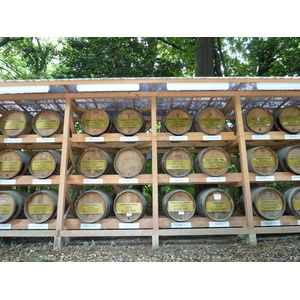 รูปถ่าย ญี่ปุ่น(Japan) โตเกียว(Tokyo) สวนโยโยงิ(Yoyogi Park) 2010-06 21