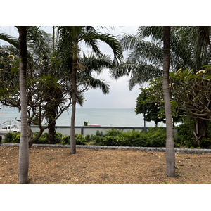 รูปถ่าย ไทย(Thailand) พัทยา(Pattaya) 2023-01 7