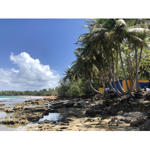 รูปถ่าย กวาเดอลูป(Guadeloupe) หาดกลูญี(Clugny Beach) 2021-02 15