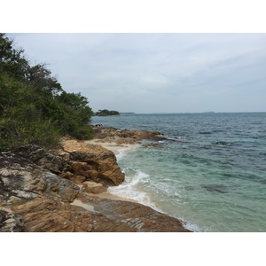 รูปถ่าย ไทย(Thailand) เกาะเสม็ด(Ko Samet) 2014-12 228