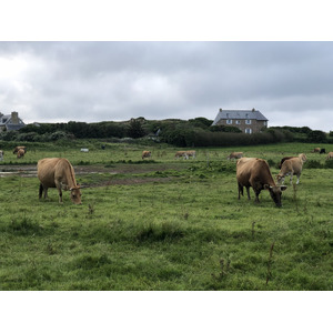 รูปถ่าย ฝรั่งเศส(France) เกาะเบรอา(Brehat Island) 2020-06 247
