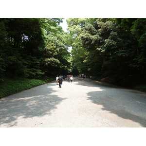 รูปถ่าย ญี่ปุ่น(Japan) โตเกียว(Tokyo) สวนโยโยงิ(Yoyogi Park) 2010-06 15
