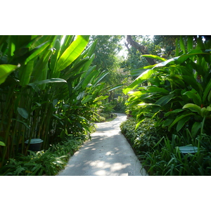 รูปถ่าย ไทย(Thailand) เกาะเสม็ด(Ko Samet) เลอวิมาน คอทเทจ แอนด์ สปา(Le Vimarn Cottage and Spa) 2009-01 10