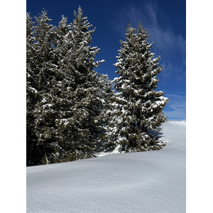รูปถ่าย ฝรั่งเศส(France) เมแฌฟว์(Megeve) 2022-02 25