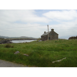 รูปถ่าย ไอร์แลนด์(Ireland) เคอร์รี่(Kerry) ปาร์คนาสิลล่า(Parknasilla) 2004-05 60