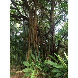 รูปถ่าย คอสตาริกา(Costa Rica) 2015-03 28