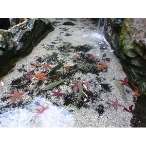 รูปถ่าย ฝรั่งเศส(France) เลอกรัวซิก(Le Croisic) โอเชียเรียม(Ocearium) 2009-10 6