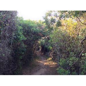รูปถ่าย อิตาลี(Italy) ซาร์ดิเนีย(Sardinia) ปอร์โตเบลโลดีกัลลูรา(Portobello di Gallura) 2015-06 17