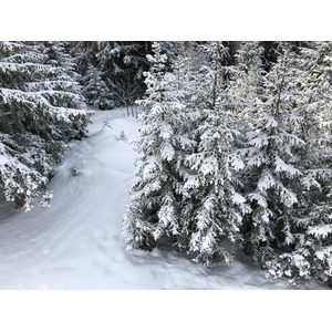 รูปถ่าย ฝรั่งเศส(France) ลากลูซา(La Clusaz) 2017-12 35