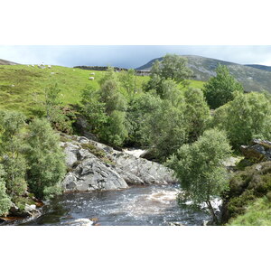 รูปถ่าย อังกฤษ(United Kingdom) อุทยานแห่งชาติแคร์นกอร์มส์(Cairngorms National Park) 2011-07 113