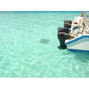 รูปถ่าย เฟรนช์โพลี่นีเซีย(Polynesia) มูเรีย(Moorea) 2006-04 108