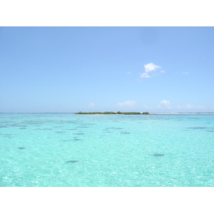 รูปถ่าย เฟรนช์โพลี่นีเซีย(Polynesia) มูเรีย(Moorea) 2006-04 153