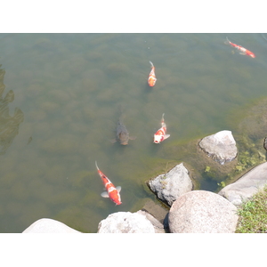 รูปถ่าย ญี่ปุ่น(Japan) โตเกียว(Tokyo) สวนคิวชิบะริคิว(Kyu Shiba rikyu Gardens) 2010-06 17