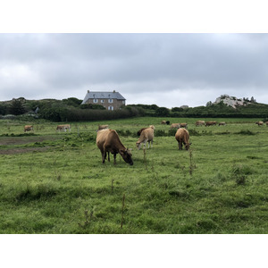 รูปถ่าย ฝรั่งเศส(France) เกาะเบรอา(Brehat Island) 2020-06 17