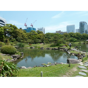 รูปถ่าย ญี่ปุ่น(Japan) โตเกียว(Tokyo) สวนคิวชิบะริคิว(Kyu Shiba rikyu Gardens) 2010-06 9