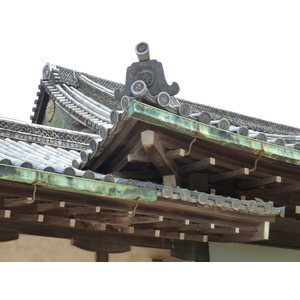รูปถ่าย ญี่ปุ่น(Japan) เกียวโต(Kyoto) ปราสาทนิโจ(Nijo Castle) สวนนิโนมะรุ(Ninomaru Garden) 2010-06 7