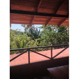 รูปถ่าย คอสตาริกา(Costa Rica) มานวยล์อันโตนีโอ(Manuel Antonio) 2015-03 35