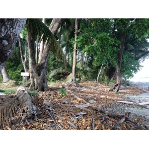 รูปถ่าย คอสตาริกา(Costa Rica) มอนเตซูมา(Montezuma) 2015-03 6