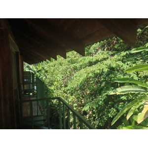 รูปถ่าย คอสตาริกา(Costa Rica) มานวยล์อันโตนีโอ(Manuel Antonio) 2015-03 469